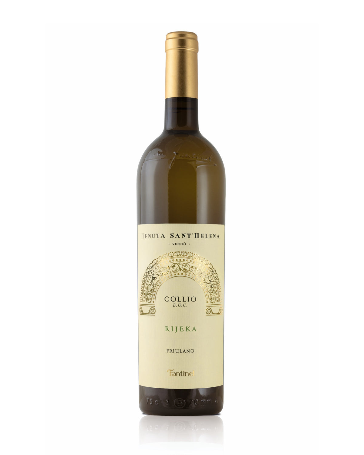 Tenuta Sant’Helena Rijeka FRIULANO
